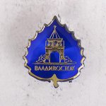 Значок «Владивосток»