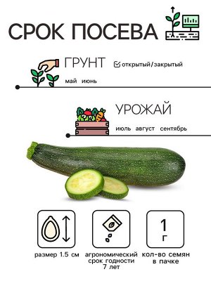 Семена Кабачок цуккини "Фараон", 1 г