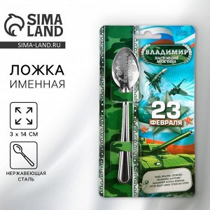 Ложка чайная именная «Владимир», 3x14 см
