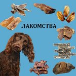 АЙ ГАВ Ю! ❤ ️ Выразите свою любовь хвостику вкусняшкой