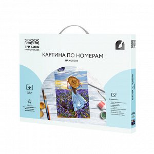Картина по номерам на холсте ТРИ СОВЫ ""Девушка в шляпе"", 40*50, с акриловыми красками и кистями