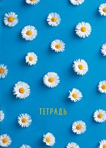 Ромашки. Тетрадь общая, А5, 48л., накидка, 4 п. полноцвет., глянц.пленка