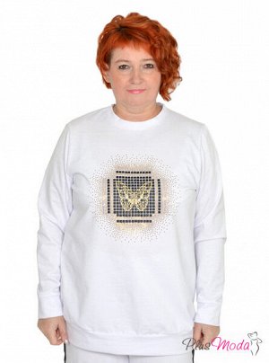 Толстовка Модель №1173 размеры 44-84