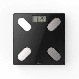Весы Scale 500 NEWFEEL