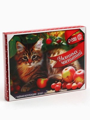 Чай подарочный «Уютных чаепитий», 54 г (30 пакетиков х 1,8 г).