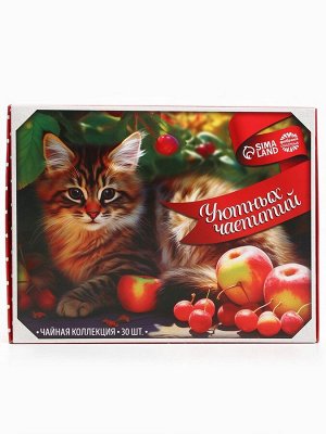 Чай подарочный «Уютных чаепитий», 54 г (30 пакетиков х 1,8 г).