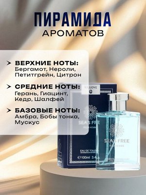 Туалетная вода мужская Vercas, 100 мл