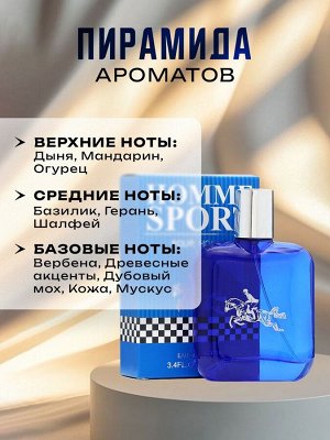 Туалетная вода мужская Paila Bole, 100 мл