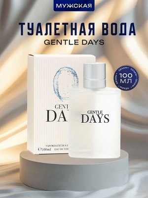 Туалетная вода мужская Gentle Days, 100 мл