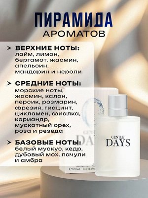 Туалетная вода мужская Gentle Days, 100 мл