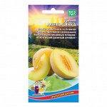 Дыня &quot;Апельсинка&quot;, 10 шт