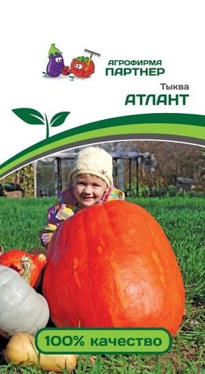 Тыква АТЛАНТ 10 шт