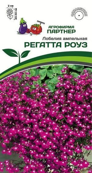 Лобелия ампельная РЕГАТТА РОУЗ 10 шт