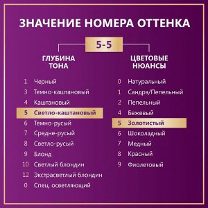 Палетт Стойкая крем-краска для волос "Интенсивный Цвет" 5-5 (G4) Какао 110 мл