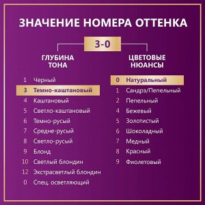 Палетт Стойкая крем-краска для волос "Интенсивный Цвет" 3-0 (N2) Тёмно-каштановый 110 мл