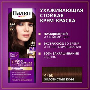 Палетт Стойкая крем-краска для волос "Интенсивный Цвет" 4-60 (WN3) Золотистый кофе 110 мл