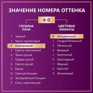 Палетт Стойкая крем-краска для волос "Интенсивный Цвет" 4-0 (N3) Каштановый 110 мл