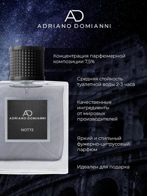 Туалетная вода мужская Adriano Domianni Notte 100 мл