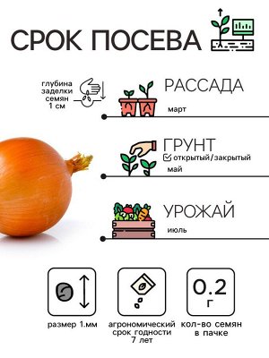 Семена Лук репчатый "Эксибишен", 0,2 г