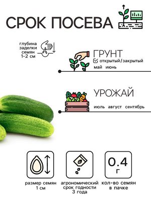 Семена Огурец "Коротышка", 0,4 г