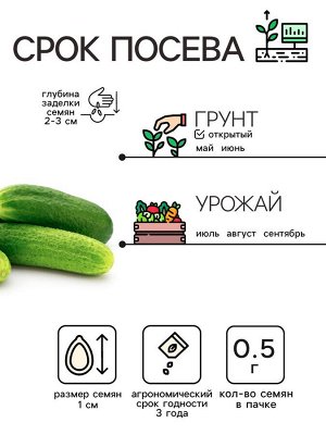 Семена Огурец "Феникс", 0,5 г