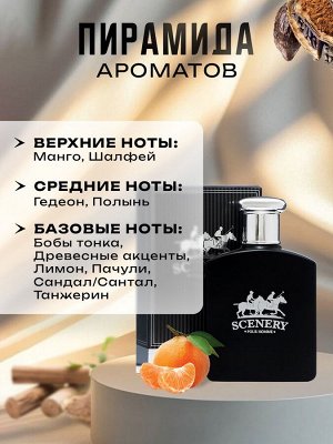 Туалетная вода мужская Scenery, 100 мл