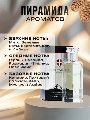 Туалетная вода мужская Chevalier, 100 мл