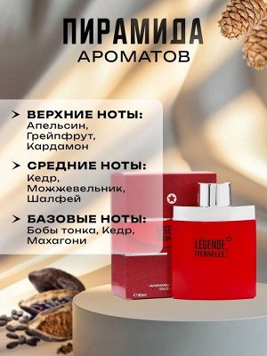 Туалетная вода мужская Gentle Days Red, 100 мл