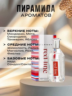 Туалетная вода мужская Red Line, 100 мл