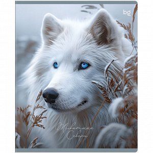 Тетрадь 48л., А5, клетка BG ""Животные севера"", тиснение фольгой