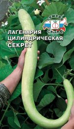 Лагенария Секрет цилиндрическая ЦВ/П (СЕДЕК) 2гр среднеспелый