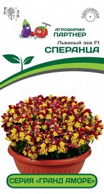 Львиный Зев низкорослый крупноцветковый Гранд Аморе F1 Сперанца