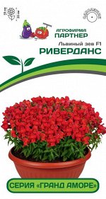 Львиный Зев низкорослый крупноцветковый Гранд Аморе F1 Риверданс