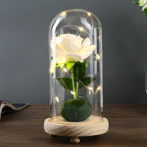 Лампа настольная "Роза белая" LED 3ААА 10х10х20 см.