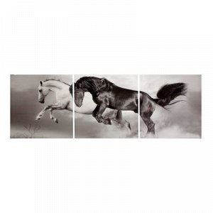 Картина модульная на подрамнике "Скакуны. Черный, белый." 3шт-50х50 см; 50*150 см