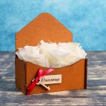 Кашпо флористическое &quot;Конвертик МИНИ&quot;, морёное, 12,5?7?15 см