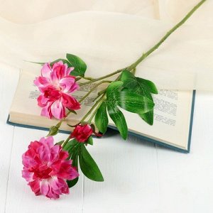 Цветы искусственные "Хризантема ажурная" 7*48 см, розовый