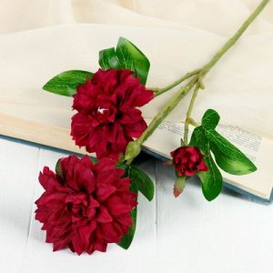 Цветы искусственные "Хризантема ажурная" 7*48 см, бордовый