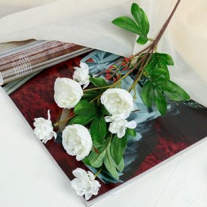 Цветы искусственные "Абутилон пышный" 5*57 см, белый