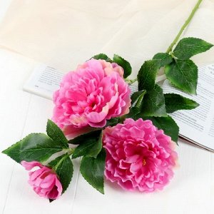 Цветы искусственные "Воздушные пионы" 9*64 см, розовый