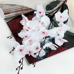 Цветы искусственные &quot;Орхидея фаленопсис&quot; 8*80 см, белый