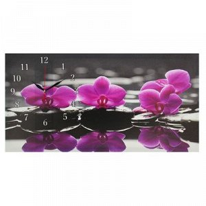 Часы настенные, серия: Цветы, на холсте "Орхидеи на камнях", 40х76 см, микс