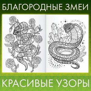 Раскраска «Прекрасные и опасные змеи», 20 × 28, 32 раскраски, формат А4