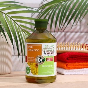 Шампунь для объема тонких волос с экстрактом арники HERBAL&BERRIES by MODAMO 500мл