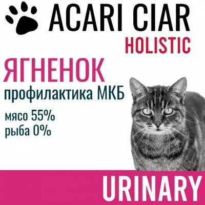 СуперСкидки на товары для питомцев. До -50%