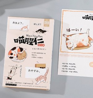 Набор открыток «Cartoon cat»