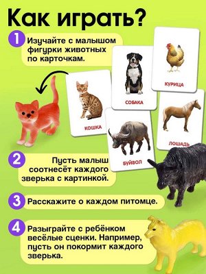 Развивающий набор «Домашние животные», по методике Домана, 9 карточек, 3-6 лет