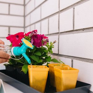Насадка-рассеиватель на бутылку, цвет МИКС, Greengo