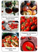 Огородная закупка — рассадники, семена. удобрения