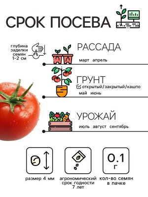 Семена Томат "Волгоградский скороспелый 323", 0,1 г